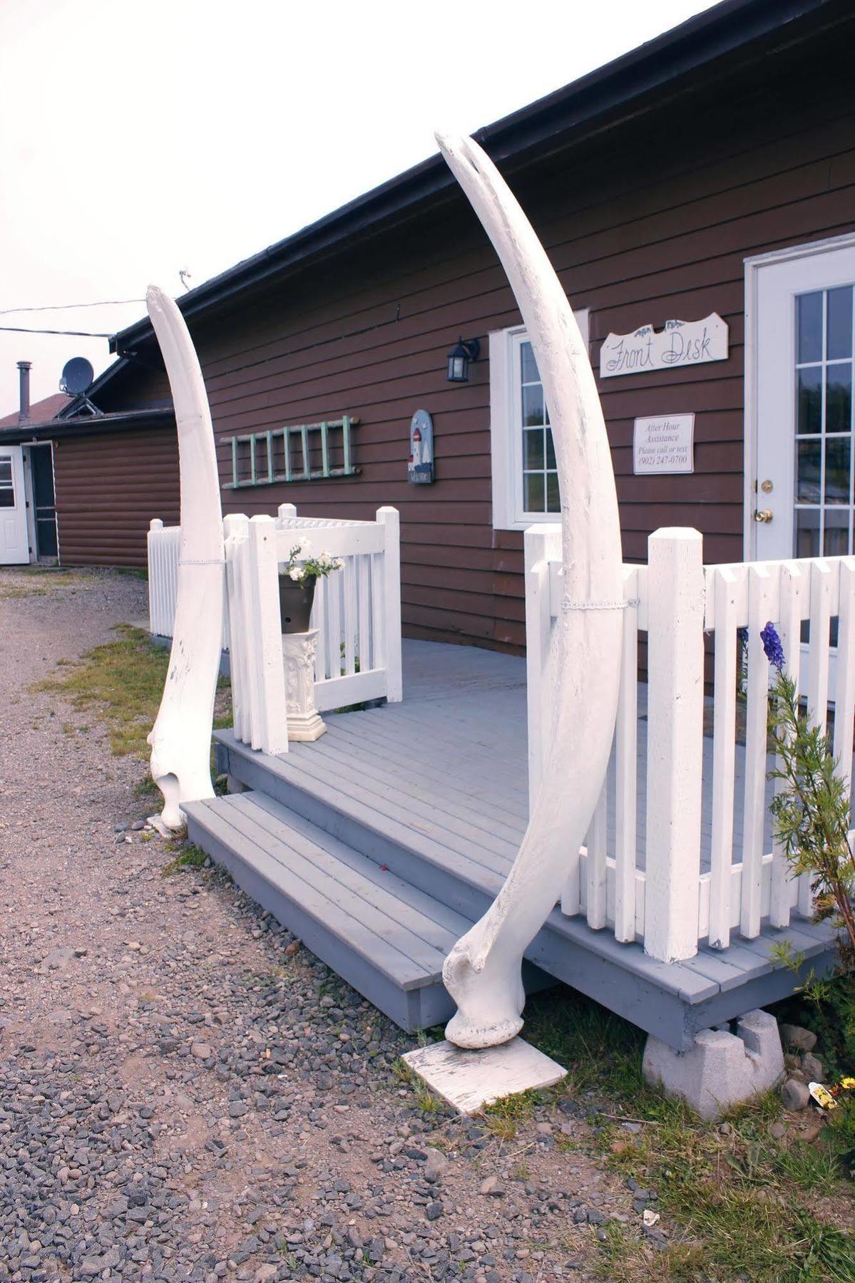 Westport Brier Island Lodge מראה חיצוני תמונה
